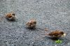 tours-0024_copie.jpg